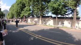 Dog meat protest turns violent