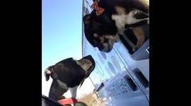 When Hugo met Stan