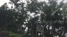 Volcán  de fuego San Miguel los lotes guatemala