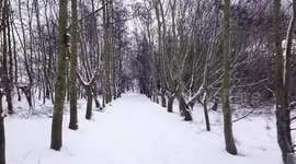 The Beast from the East & Storm Emma from The South - Edited Version
