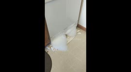 Epic dishwashing fail