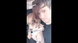 Emo Dog and Song
