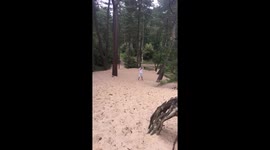 Tarzan failure