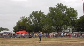 Peregrine falcon Fails To Capture Its Pray At The  Lambeth Country Show