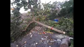 Guatemalan government machinery destroys homes affected by the eruption of Fuego Volcano, without consulting or compensating their owners.