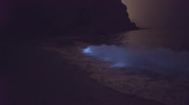 Glowing plankton illuminates waves on Devon beach