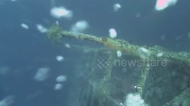 Exploring Red Sea Deep Wreck Numidia