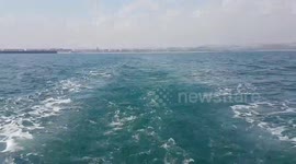 Boat Trip - Weymouth Harbour