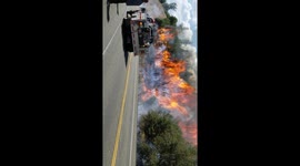 Wildland Fire