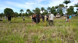 an occult game crazy bamboo