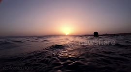 Beautiful moment at sea during sunset