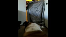 What the fluff challenge fail