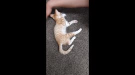 Tiny plays