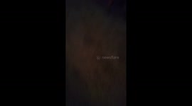 Hide sneak attack