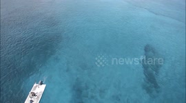 (without music) Drone chasing boat, spectacular aerial footage of the waters of the Bahamas.