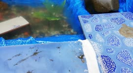 Cheapest fountain outdoor
