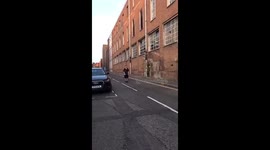 Smooth moves flip