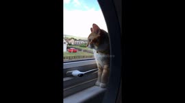 Penelope singing No doubt