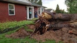 Huge tree down yesterday and on top of a car, this was due to bad weather in south of Denver with hail, heavy rains and wind. This happened at around 6pm on 3700 S Elati st
