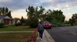 Huge Tree down on top of car due to bad weather