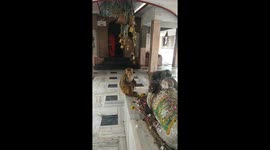 Monkey in Temple