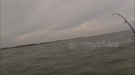 Extreme Kayak Fishing: Hammerhead SHark
