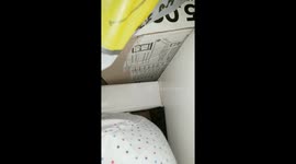 Something under the bed