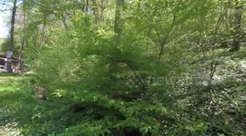 eco path/walk by the river/ Bulgarian nature