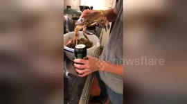 Men use crab's claw to open can of beer