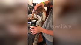 Men use crab's claw to open can of beer