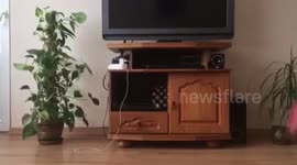 Yoga fail