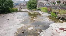 River almost completely dried up