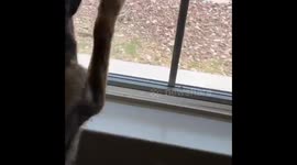 Daddy’s home!!!