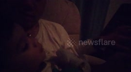 Toddler learning an f-word - FOX!