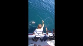 Baby shark caught on fishing rod