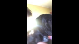 Somebody wanna sleep