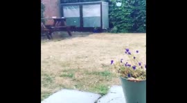 Huge hailstones fall in Norfolk, UK