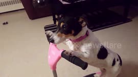 Wow what's going on here