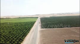 Bakersfield Ca