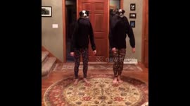Dancing Dogs: Pups Just Wanna Have Fun