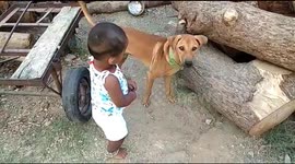 Kid playing with dog