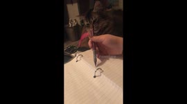 No Homework Mom!
