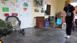 Alaskan Malamute Puppy Freestyle Doggy Dancing Training