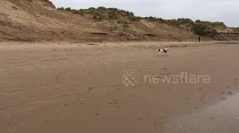 Formby