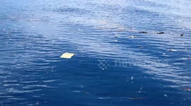Plastic trash floating in the Ocean in Indonesian Marine National Park