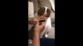 ‘Fugly’ getting his manicure!