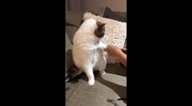 Fugly having his manicured