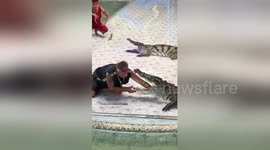 Crocodile bites trainer's arm in front of horrified spectators