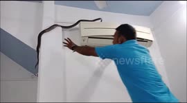 Terrifying moment man encounters rat snake in office air conditioner