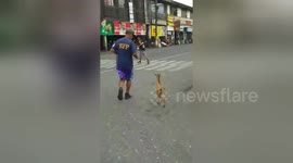 This fireman has an unusual personal trainer